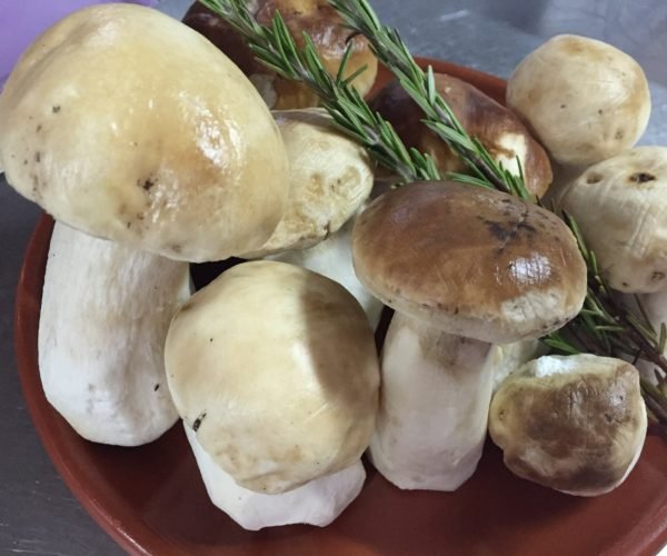 Nosotros - Bar de Tapas y Restaurante en Huesca